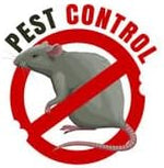 Plastic non-return valve with double rat protection (DN 110 mm)