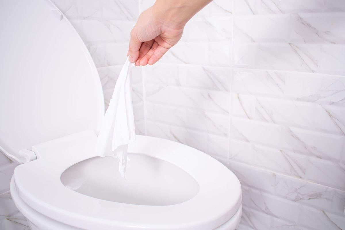 ZIPY Papier toilette humide lavable - Convient pour les adultes, les personnes âgées, les enfants et les animaux domestiques - Biodégradable - Lot de 82 (410 pièces)