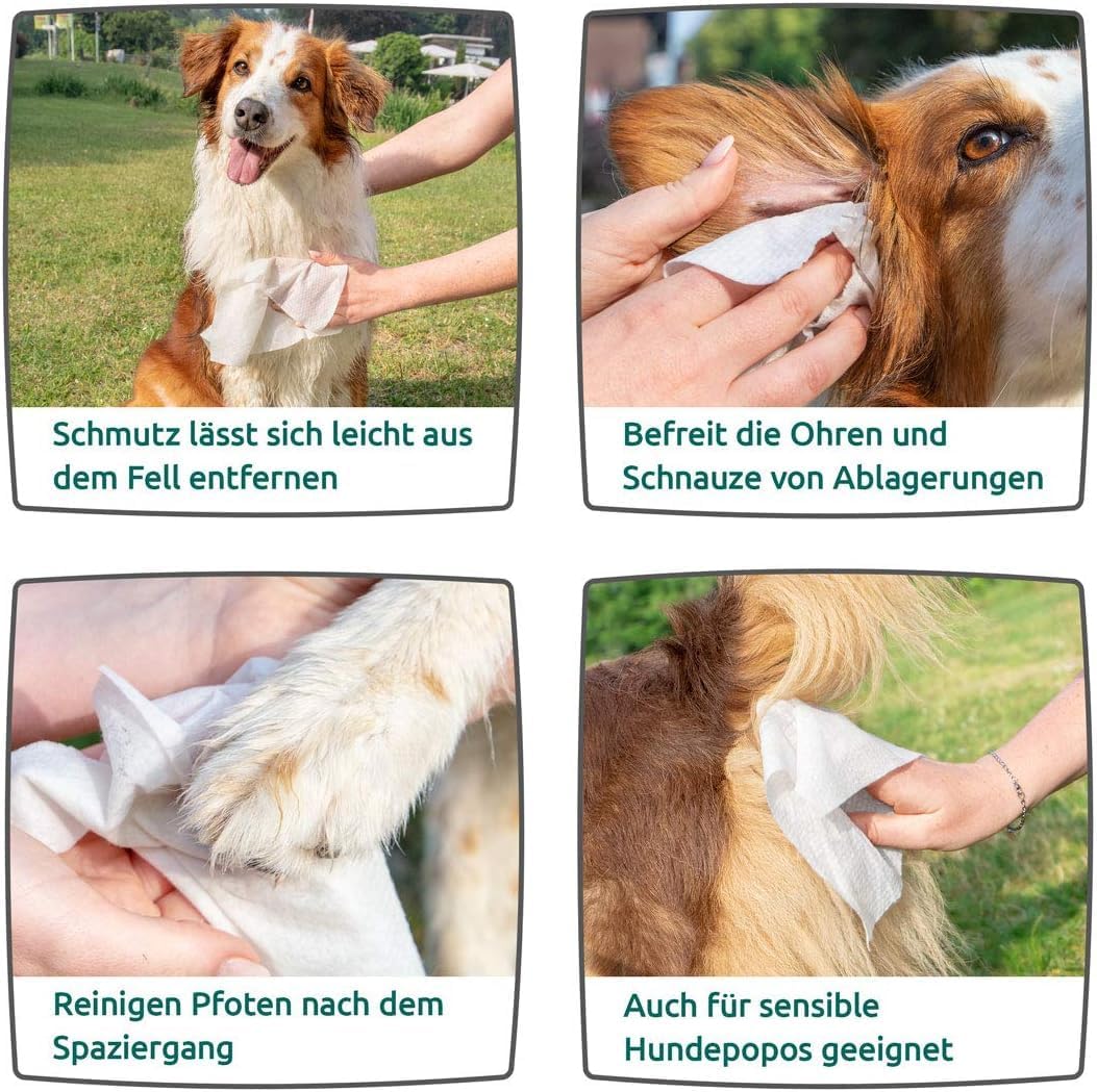 ZIPY 350 stuks vochtige doekjes voor honden, parfumvrij, voor poten, oren, billen en lichaam, 20 x 22 cm