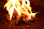 Ecological Firewood - Natural Charcoal Starters for Fireplace & Barbecue